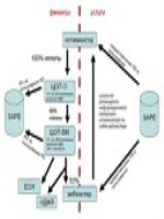 Образец общего собрания собственников помещений многоквартирного дома
